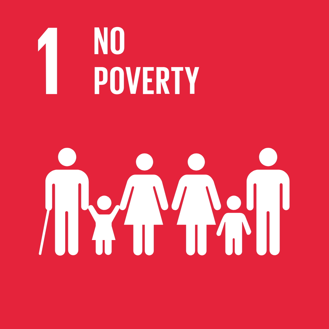 SDG 1